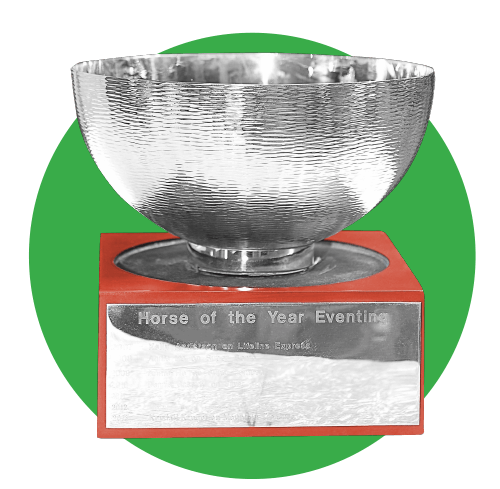 award3L